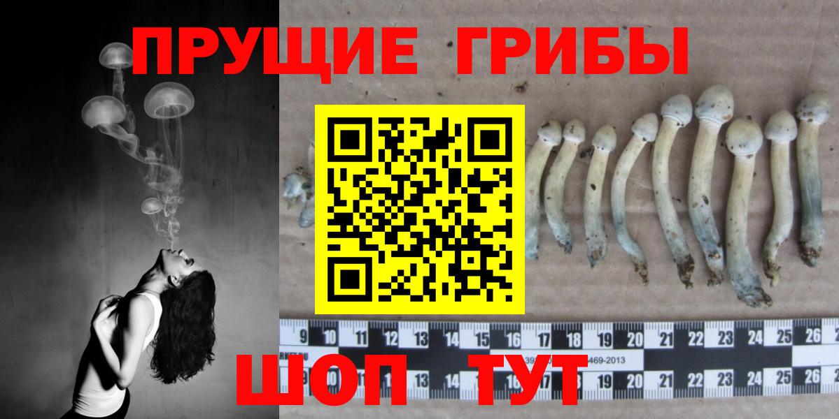 продажа наркотиков  Галлюциногенные грибы Magic Shrooms  Вход с VPN  Рязань 